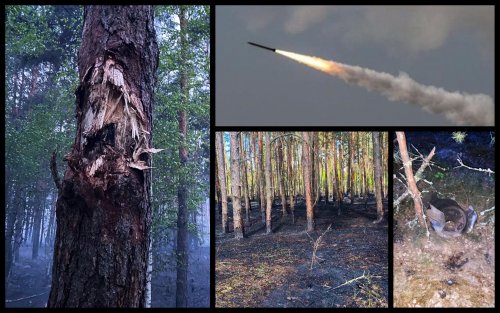 На Киевщине из-за очередного ракетного удара сгорела часть леса