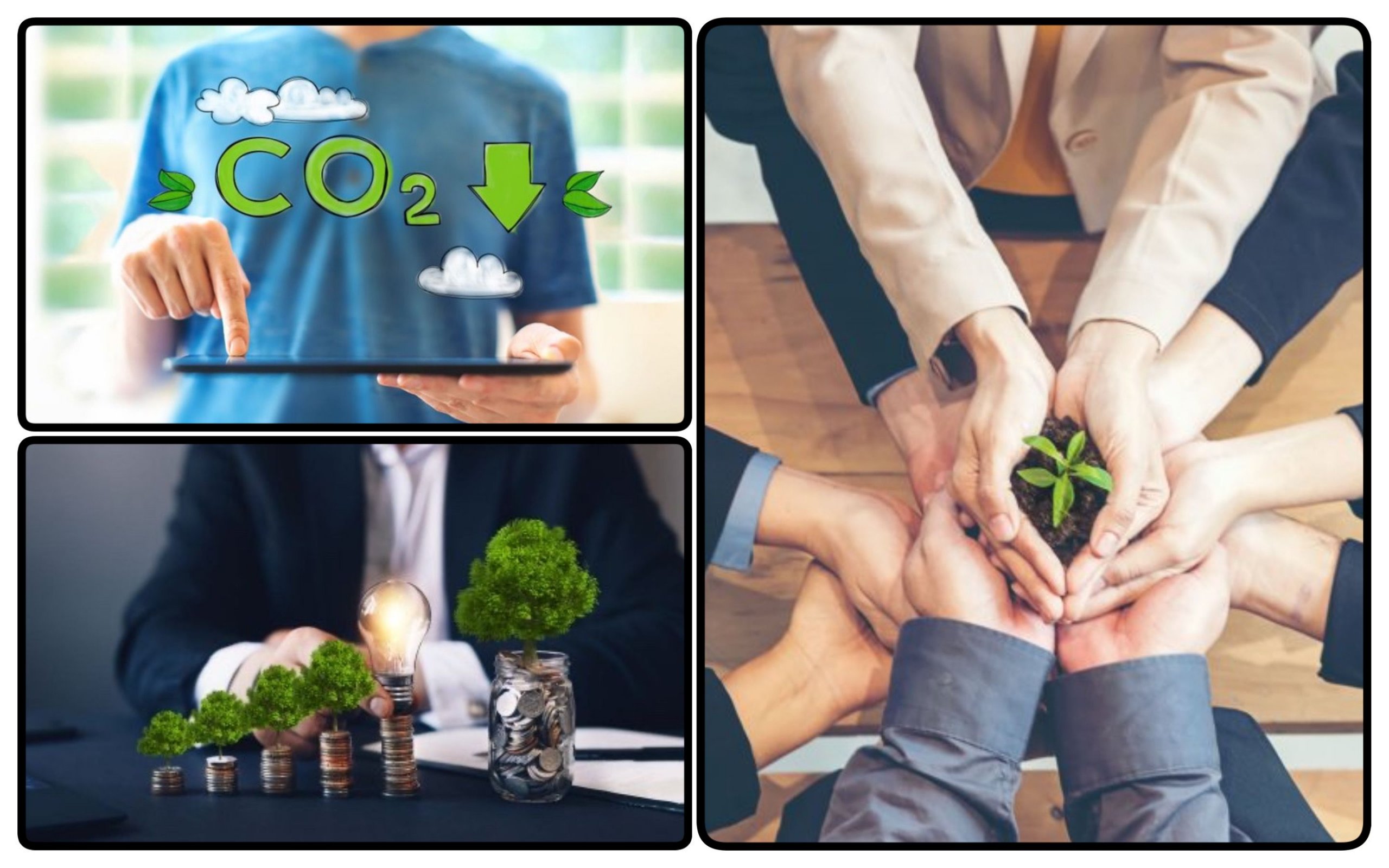 Photo – The UN will help launch the State Fund for Decarbonization in Ukraine