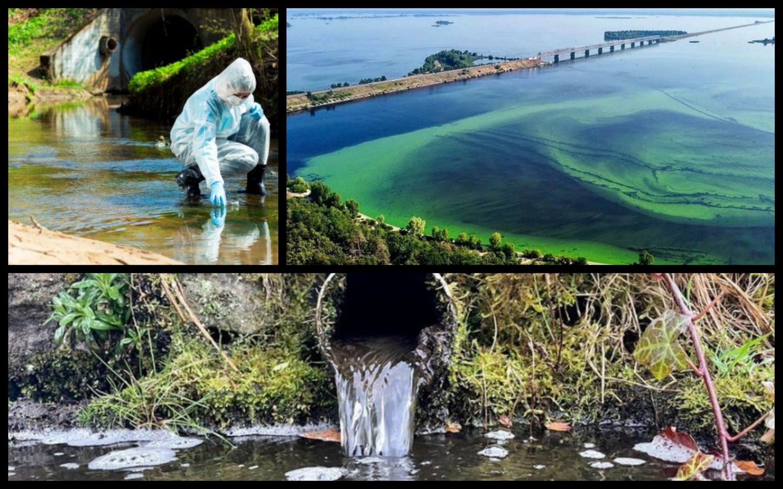 Photo – The court forced utility companies from Cherkasy to pay a big sum for the pollution of the Dnipro