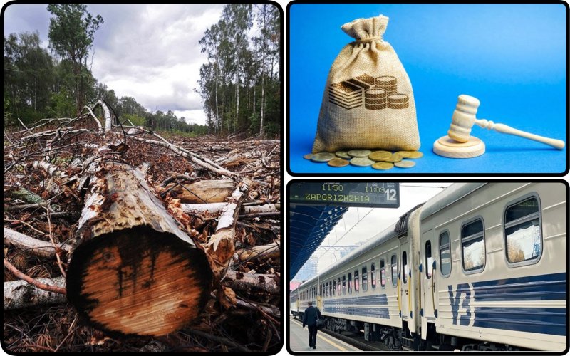 “Укрзалізниця” заплатила за знищення 230 дерев на Львівщині