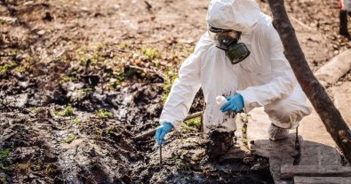 Фото – На Одесчине будут судить инженера винной компании за загрязнение земель отходами