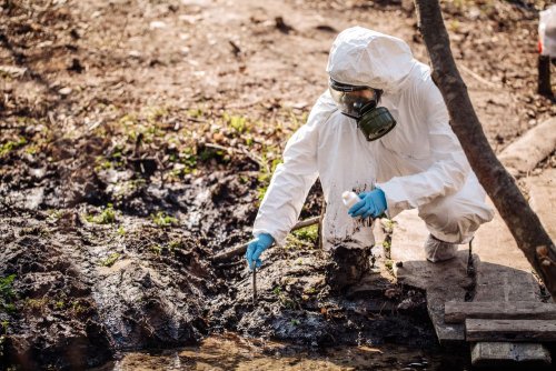 A resident of Zhytomyr region was forced to pay for soil contamination with chemicals