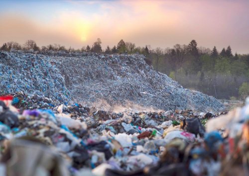 На Закарпатті спіймали на гарячому водія сміттєвого буса на стихійному звалищі