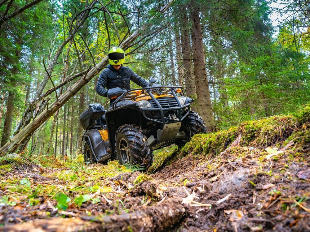 Photo – The Verkhovna Rada supported a 50-fold increase in fines for violations in protected areas
