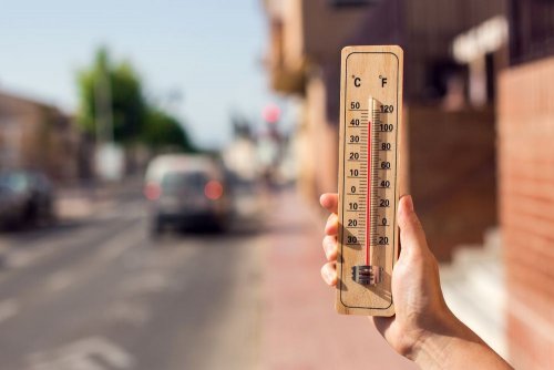 In Kyiv, for the second day in a row, new temperature records are recorded