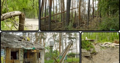 Photo – The occupiers turned a unique forest into ruins in Donetsk region
