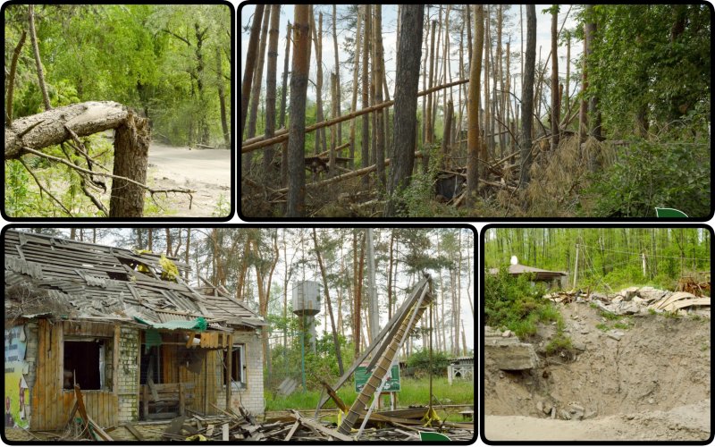 На Донеччині окупанти перетворили унікальний ліс на руїни