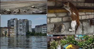 Фото – Підрив Каховської ГЕС завдав збитків природі на $1,5 мільярда