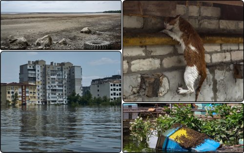 The explosion of the Kakhovska HPP caused $1.5 billion in damage to nature
