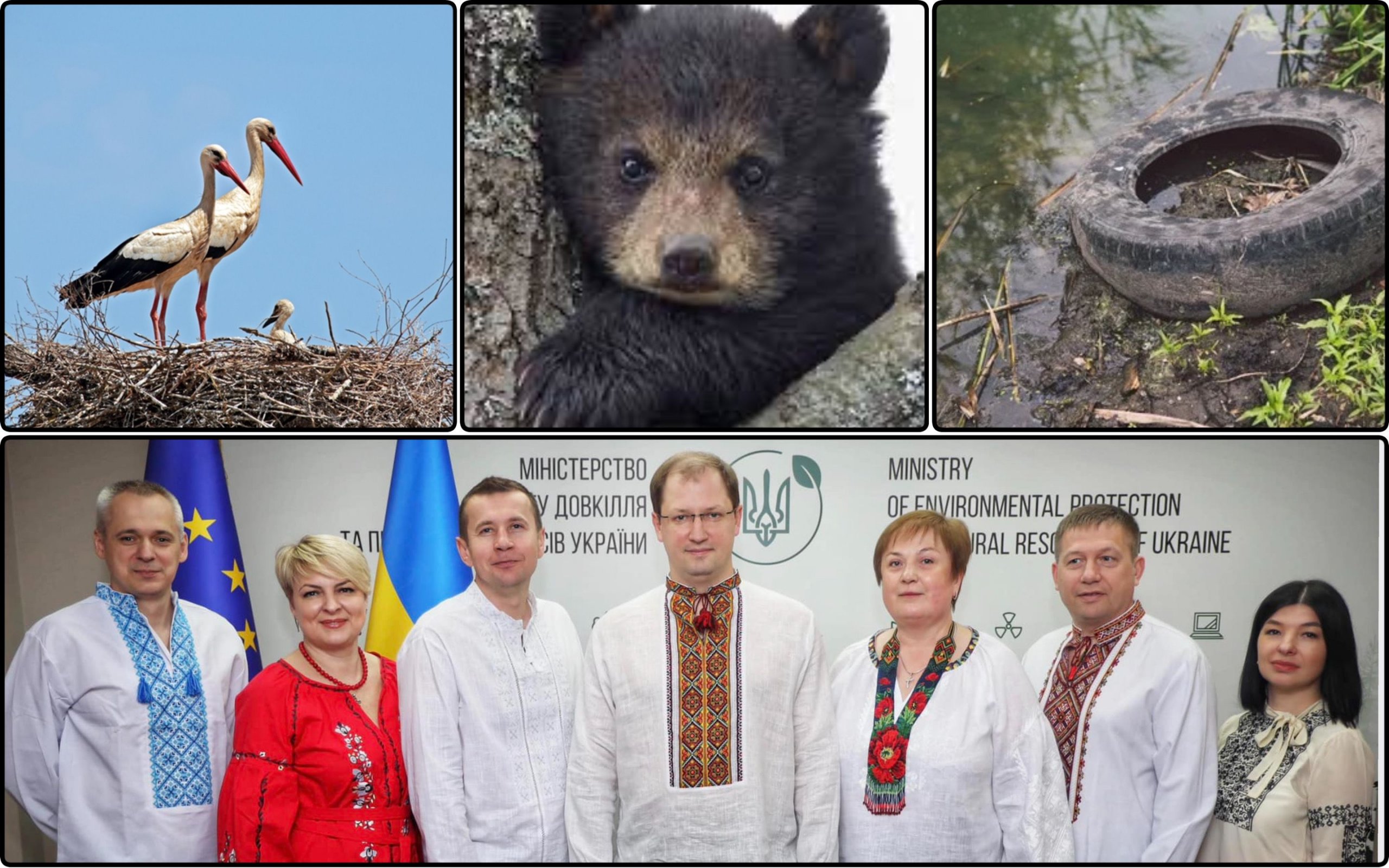 Photo – Animals and plants are not yet in time: how the Ministry of Environment protects biodiversity