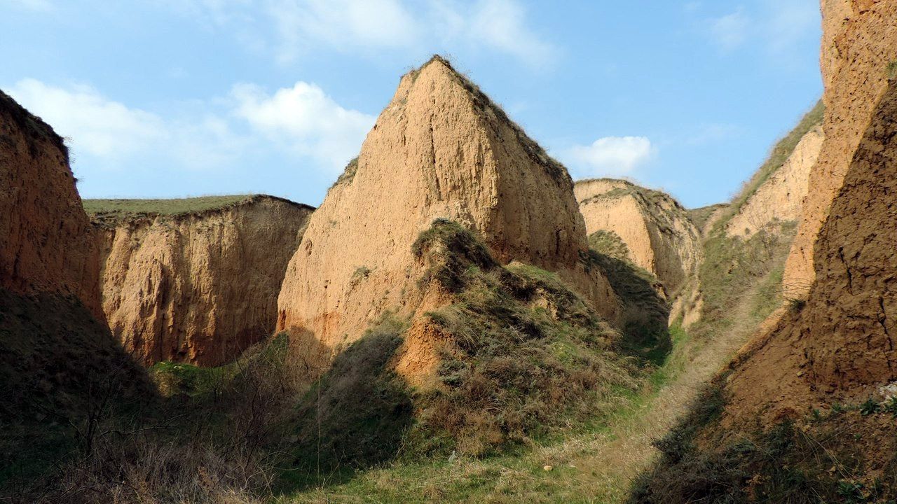 Photo – Damage from the flooding of one nature reserve in the Kherson Region reached UAH 46.5 billion