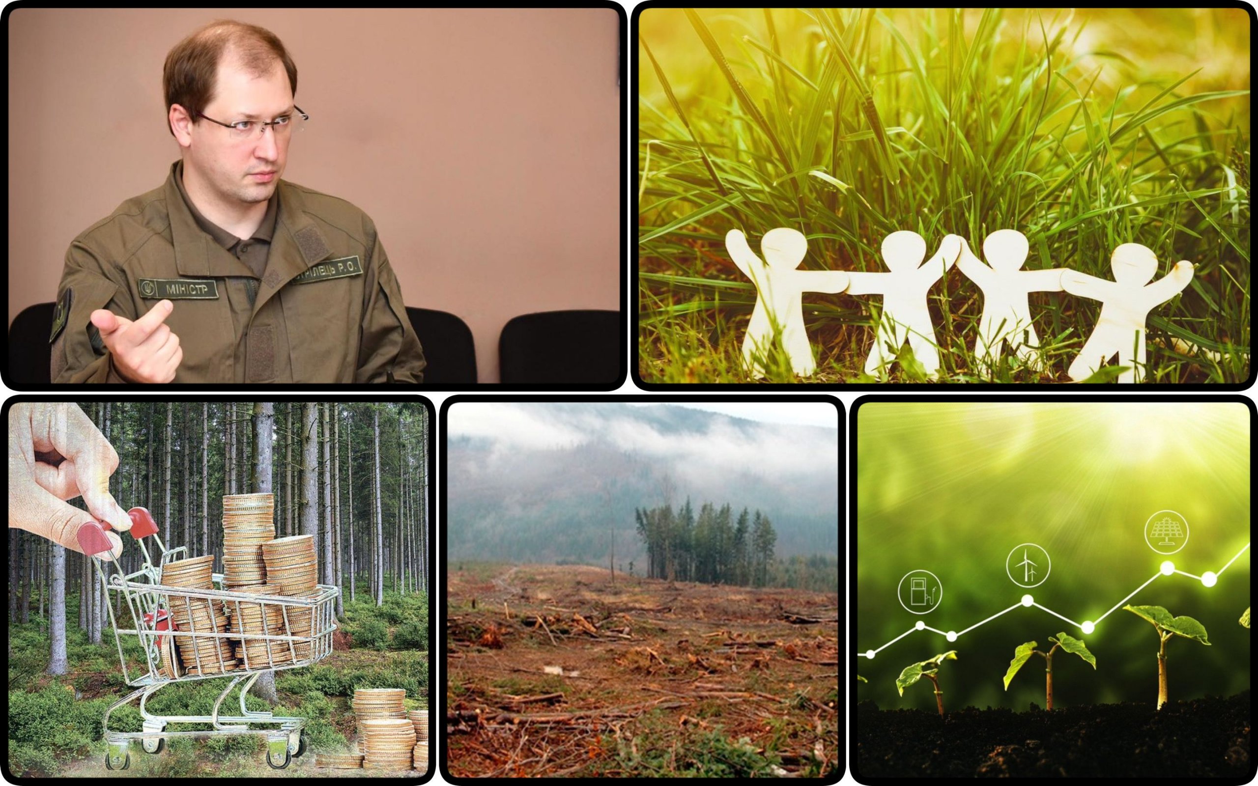 Photo – We plant billioN and lose billioNS: how the Ministry of Environment protects the forest fund