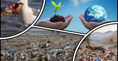 Photo – The world celebrates Environment Day: interesting facts
