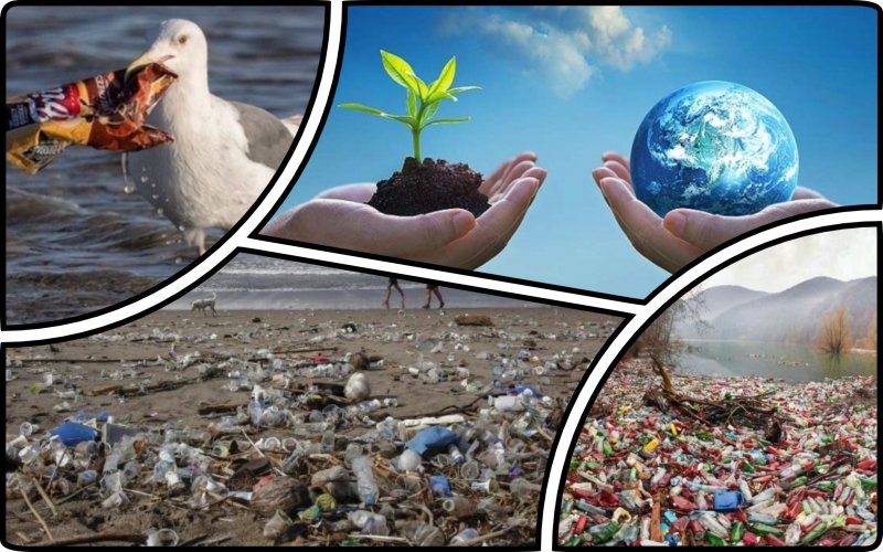 The world celebrates Environment Day: interesting facts