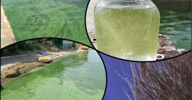 Фото – В Одесі море перетворилося на токсичну зелену рідину. Фото
