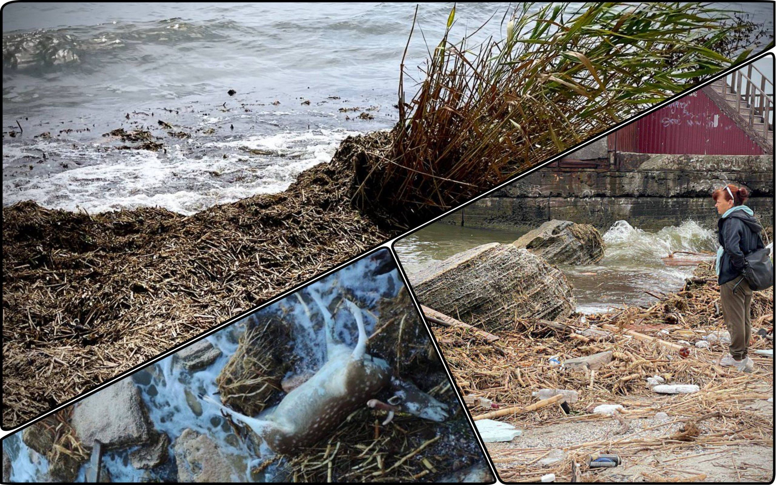Photo – Odesa residents were forbidden to go to the beach and swim in the sea