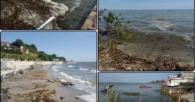Фото – У Чорному морі виявили колосальне забруднення та зменшення солоності