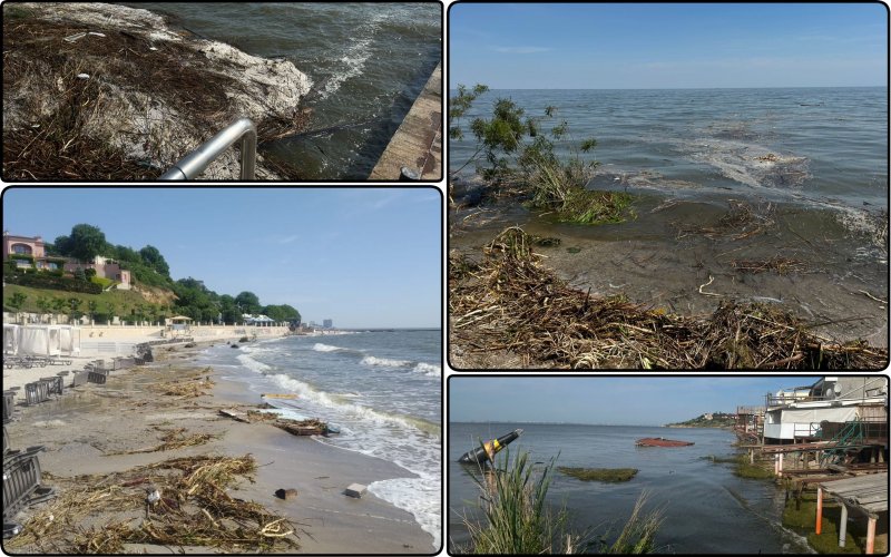 Colossal pollution and a decrease in salinity were discovered in the Black Sea