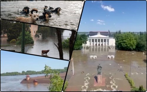 Дослідники прирівняли наслідки підриву Каховської ГЕС до тактичної ядерної зброї