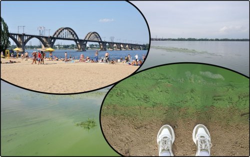 Water bloomed on a popular beach in Dnipro