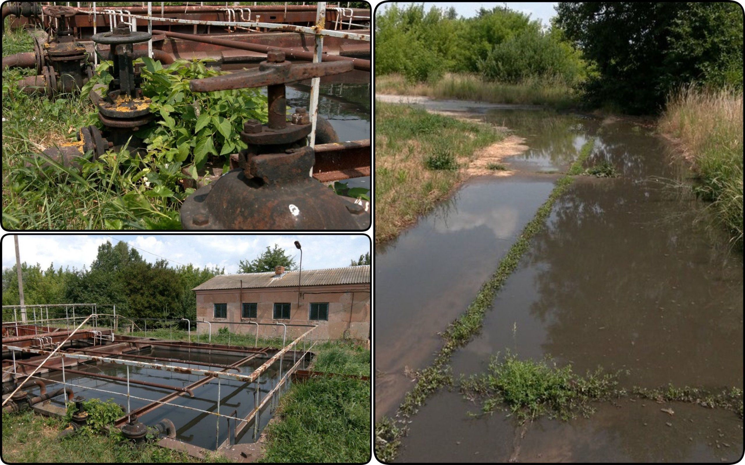 Photo – Sewage from treatment plants has been flooding the community for a week in Chernihiv region