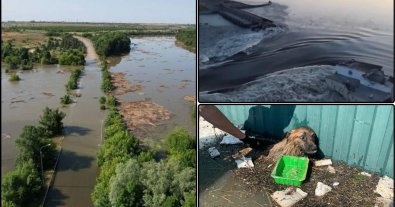 Фото – Леса Херсонщины могут пострадать из-за подрыва Каховской ГЭС