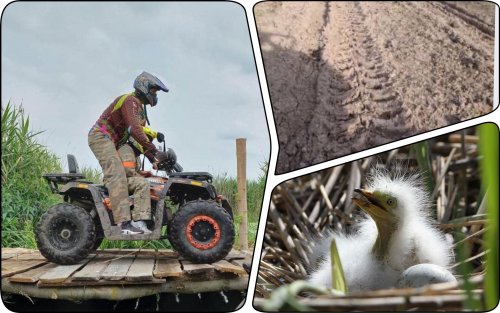 ATV riders ride along the river bank and destroy nature in Rivne