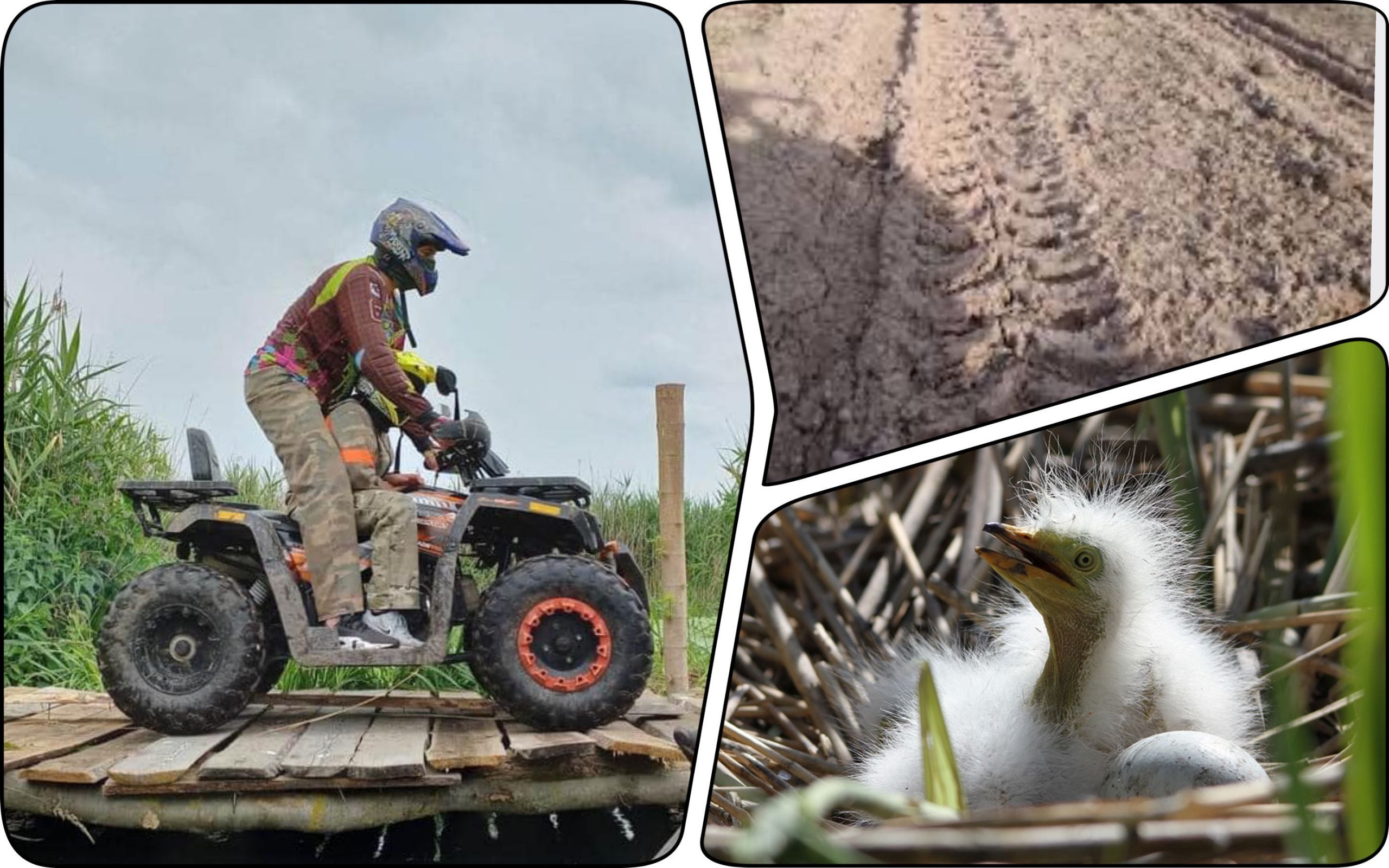 Photo – ATV riders ride along the river bank and destroy nature in Rivne