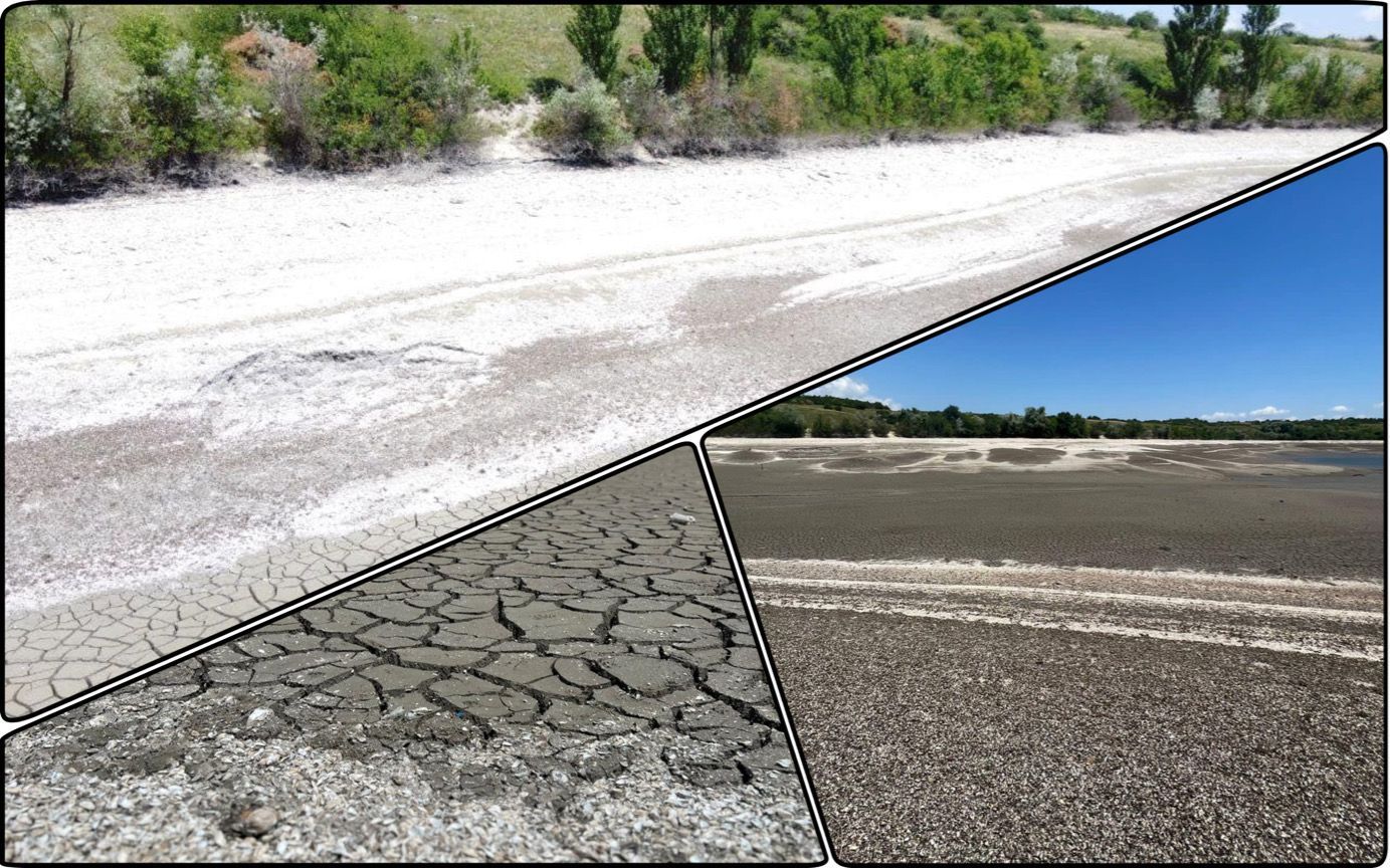 Photo – Nature reserves have turned into deserts in Zaporizhzhia. Photo