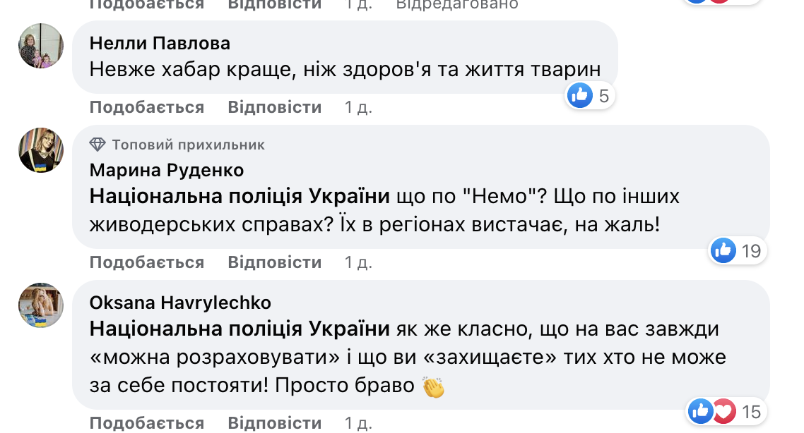 Фото – Полиция "закрыла глаза" на жестокость к животным в скандальном дельфинарии – зоозащитники