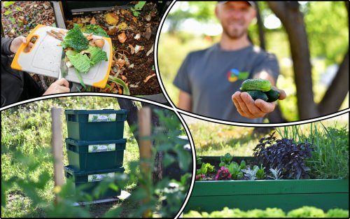 Vegetable garden was grown on recycled garbage in Lutsk