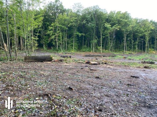 An official was suspected of organizing a forestry scheme worth 50 million UAH in Vinnytsia
