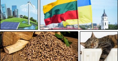 Photo – Lithuania will help Ukraine to produce heat from bioenergy