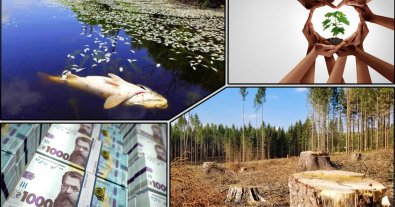 Фото – На Закарпатті виявили екопорушення на 117 мільйонів гривень