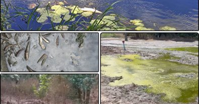Photo – Large-scale pollution of the Psel River occurred in Poltava region: details of the eco-catastrophe