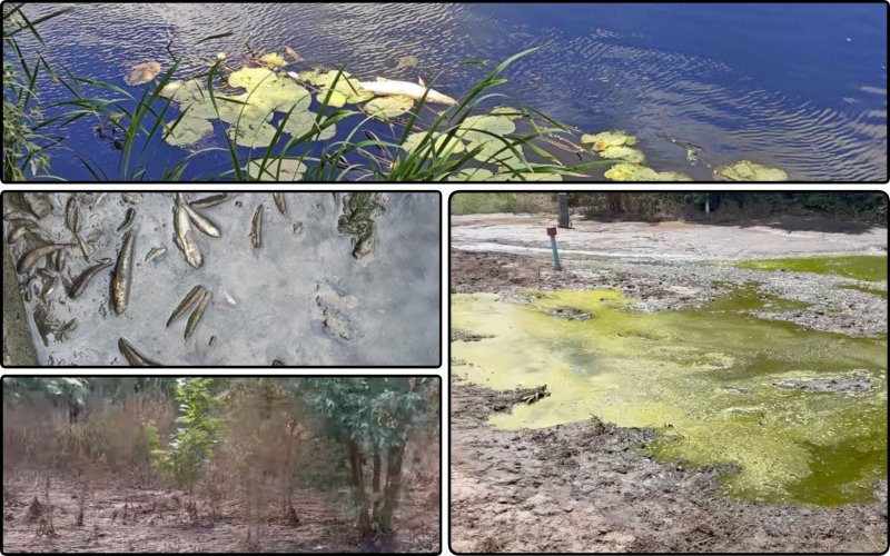 Large-scale pollution of the Psel River occurred in Poltava region: details of the eco-catastrophe