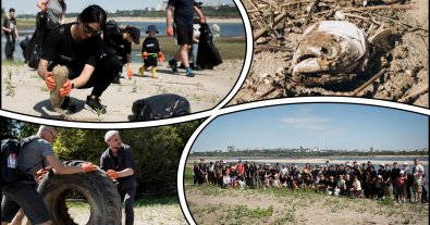 Photo – 500 kg of tires and bottles were removed from the washed-up Khortytsia. Photo