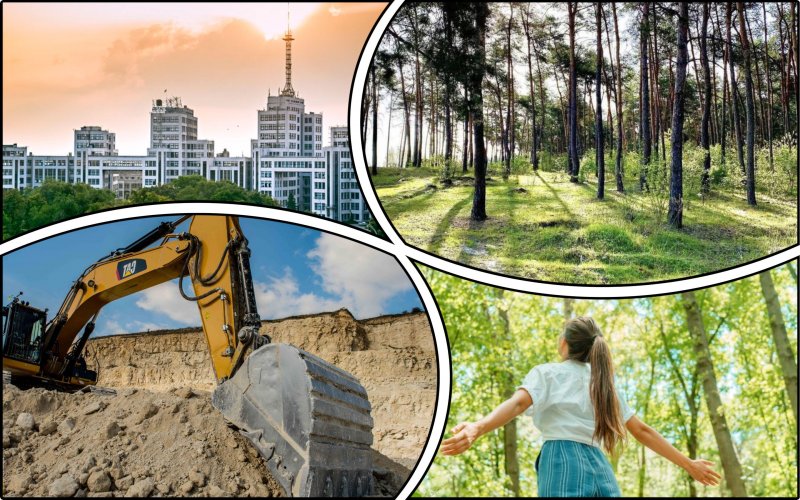 В Харькове хотят уничтожить лес ради добычи песка