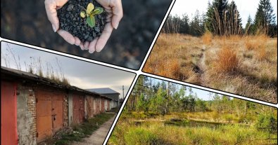 Фото – На Львовщине не дали превратить заповедное болото в гаражный кооператив