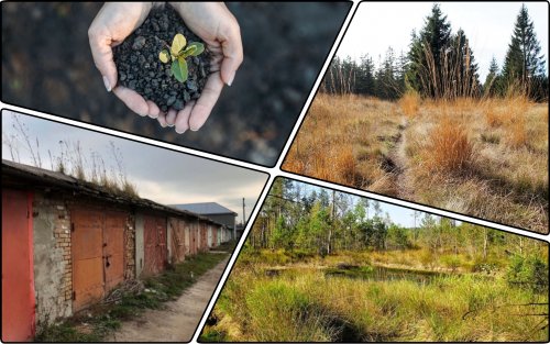 На Львовщине не дали превратить заповедное болото в гаражный кооператив