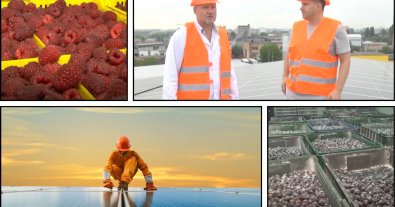 Photo – Solar panels were installed at a berry processing enterprise in Vinnytsia