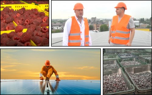 Solar panels were installed at a berry processing enterprise in Vinnytsia
