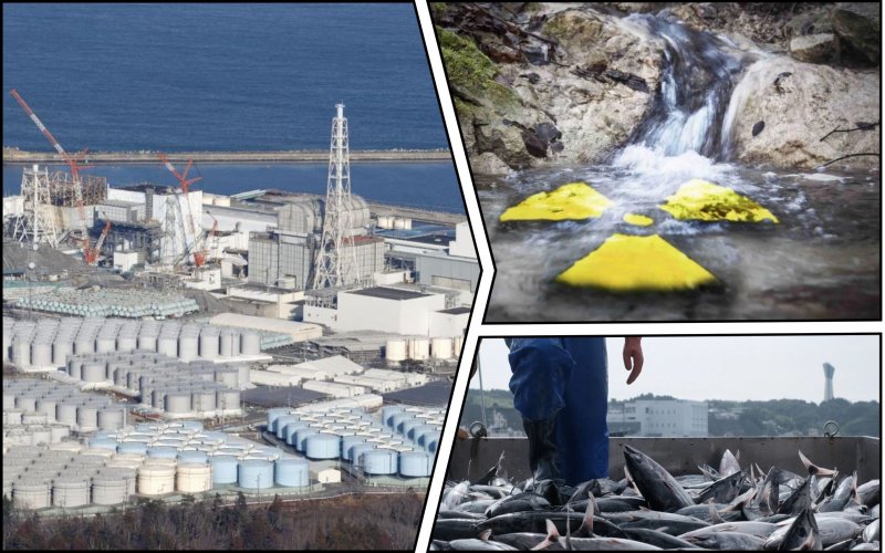 Япония сольет в океан радиоактивную воду из "Фукусимы": названа дата