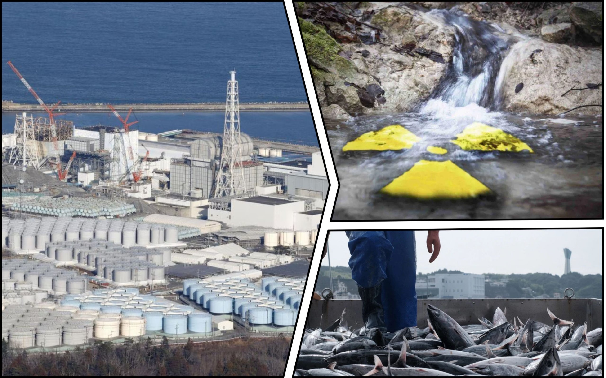 Photo – Japan will pour radioactive water from Fukushima into the ocean: the date is named