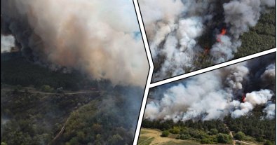 Фото – В Николаевской области пожар охватил 20 гектаров леса. Фото и видео