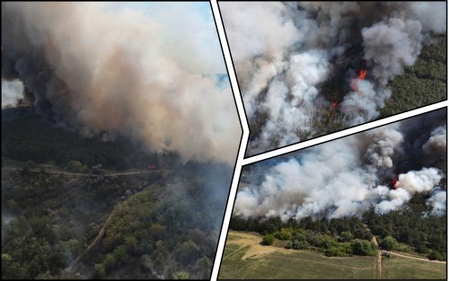 In the Nikolaev area the fire captured 20 hectares of wood. Photo and video