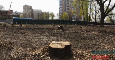 Photo – The mayor of Kharkiv was approached about the barbaric cutting down of trees in the city
