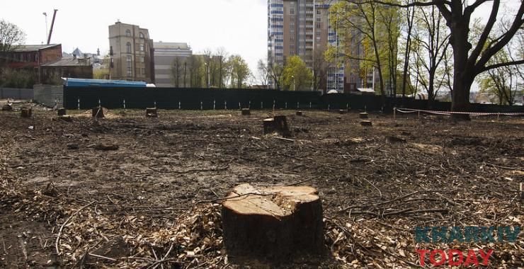 К мэру Харькова обратились по поводу варварской вырубки деревьев в городе