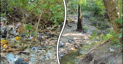 Photo – In Kharkiv, they want to turn a ravine, where a landfill has been growing for decades, into a corner of paradise