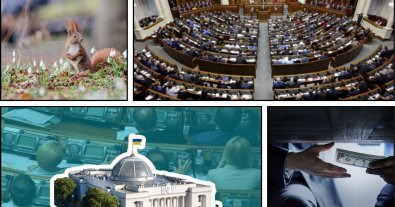 Фото – Появилась повестка экокомитета Верховной Рады на 30 августа: что рассмотрят нардепы